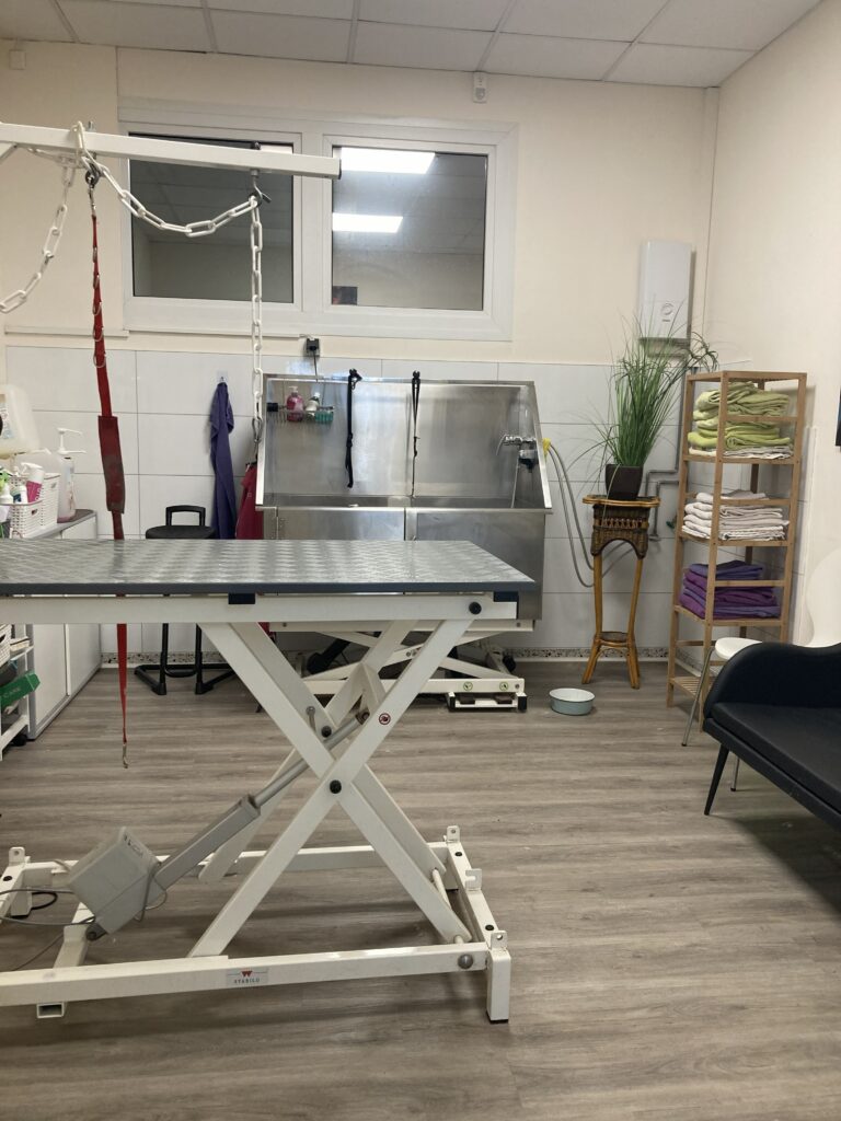 Hundesalon_4162